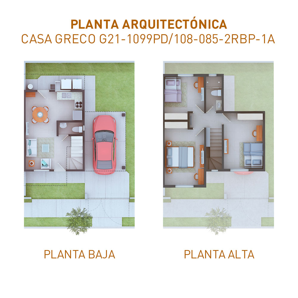 planta-web-1099